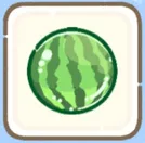 watermelon